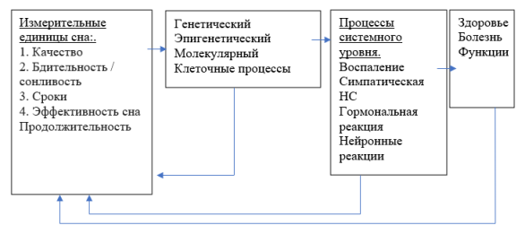Концептуальная модель здоровья сна