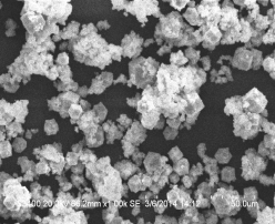 I:\AZJ\ANALYSES\электронный микроскоп\Lab.7,Gd-1000.tif
