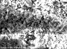 E:\AZJ\ANALYSES\электронный микроскоп\Новая папка\lab.7, Samp.2 x1000 .tif