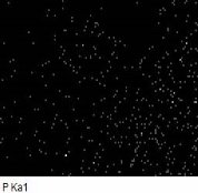 E:\AZJ\ANALYSES\электронный микроскоп\Новая папка\Lab.7\Lab.7,Narmina\Lab.7, Sample 3, Mapping\Lab4.jpg