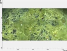 D:\2021 from saida comp\NDR\ANALYSES\IR\Foto\Foto\Lab 7 - Pr nitrat + ammonium + volframat + oksalat\Lab 7 - Pr nitrat + ammonium + volframat + oksalat.jpg