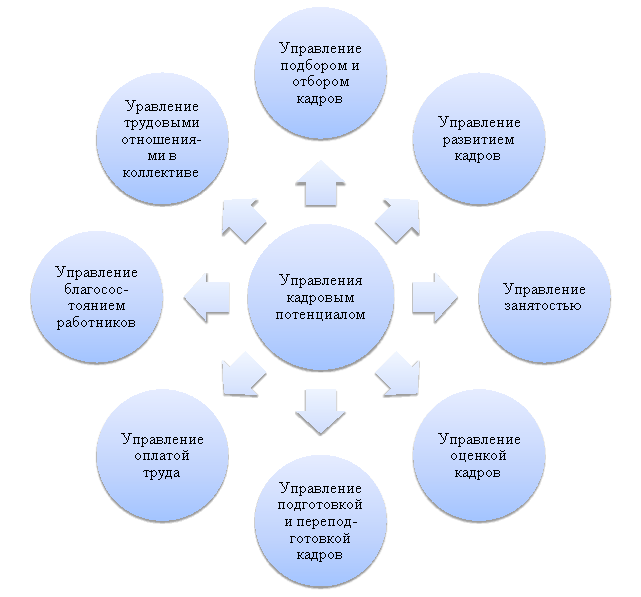 Система управления кадровым потенциалом на муниципальном уровне