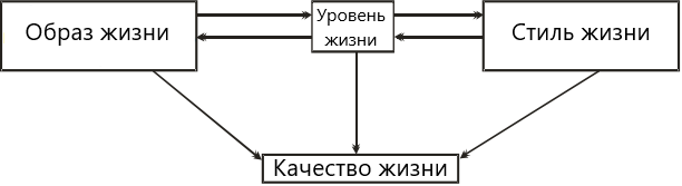 Сопоставление терминов.