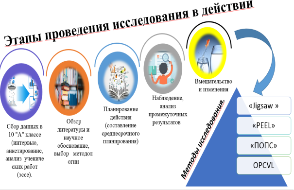 Этапы проведения исследования