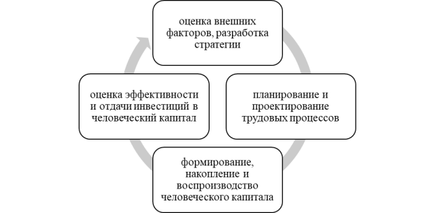 Процесс управления человеческим капиталом [1]