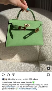 Рекламные публикации изделий бренда Hermès на страницах блогеров в социальной сети