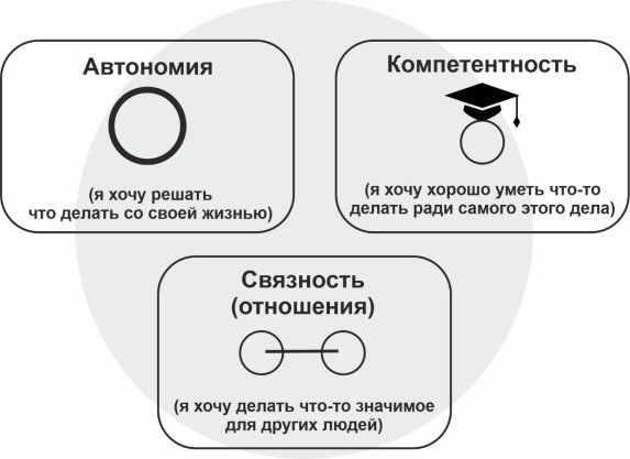 Взрослые психологические потребности в теории самодетерминации Э. Диси и Р. Райана