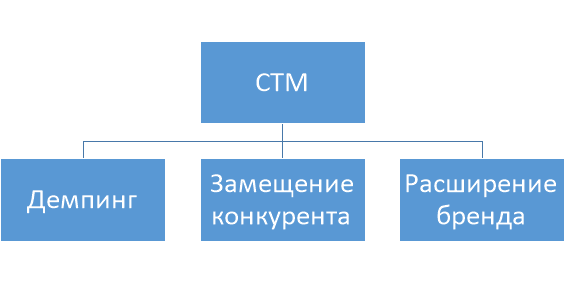 Стратегии развития СТМ