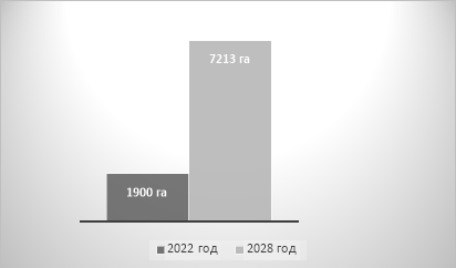 Плановые объемы компенсационного восстановления на территории ДФО в 2022, 2028 гг., гектар
