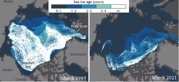Сравнение спутниковых данных 1985 и 2021 годов [11]