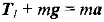D:\Storage\Школа 19\media\image6.png