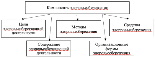 Компоненты здоровьесбережения