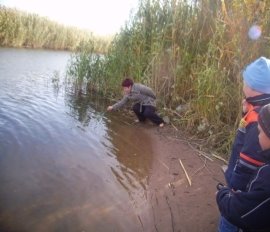 C:\Users\User\Рабочий стол\марченко пруд\PIC01501.JPG