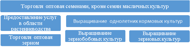 Дополнительные виды деятельности АО «Агрофирма «Ольдеевская» в сфере растениеводства