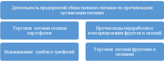 Дополнительные виды деятельности АО «Агрофирма «Ольдеевская» в сфере продажи и производства овощей и фруктов