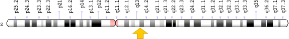 Локализация гена IL1B (https://www.ncbi.nlm.nih.gov/gene/3557)