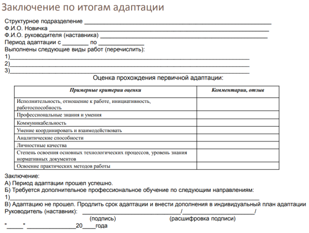Заключение по итогам адаптации