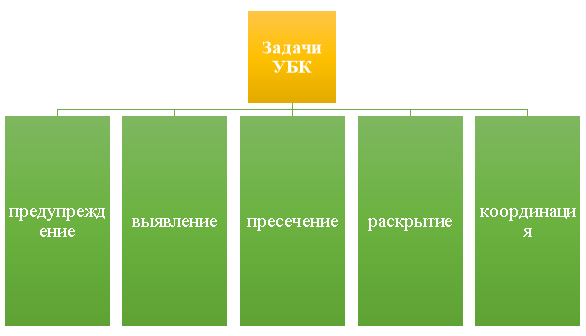 — Основные задачи Управления по организации борьбы с противоправным использованием информационно-коммуникационных технологий