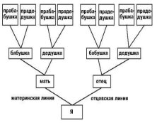 Восходящее древо