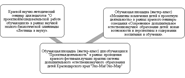 Перечень проведенных краевых мероприятий по проектной/исследовательской работе