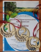 G:\2024-2025 учебный год\ФОТО\Грант_Нет милей родного края\4. интелектуально- краеведческий батл\1753234530083.jpg