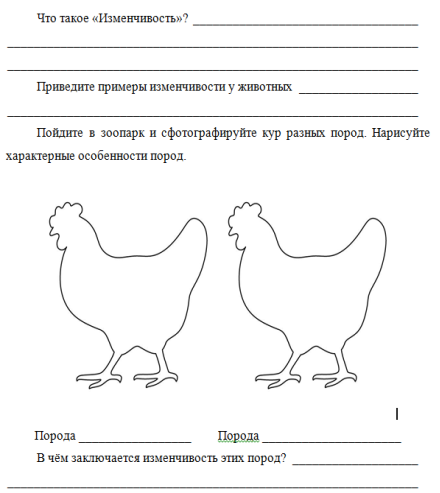 Рабочий лист по генетике