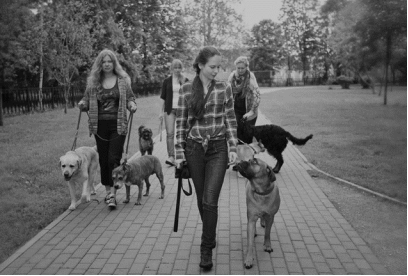 http://myfreinds-dogs.ru/wp-content/uploads/2015/11/vygul_sobak.jpg