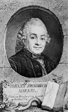 http://www.universitaetssammlungen.de/wpdimg/Johann_Friedrich_Meckel%2C_the_Elder.jpg