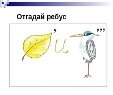 D:\животные леса\i (1).jpg