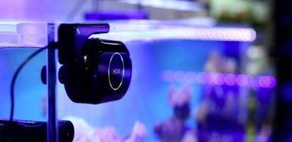 Картинки по запросу MOAI робот