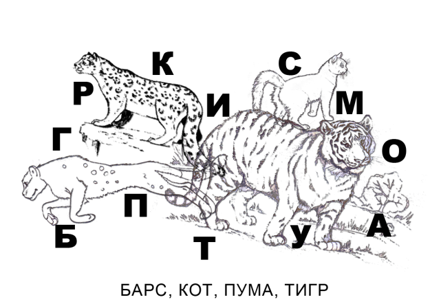 C:\Users\user\Desktop\статьи\коррекция речи и развитие мелкой моторики\БКПТ.png