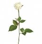 Декор - Цветы (страница 2) : фотографии Маркет - разное
