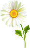 http://img-fotki.yandex.ru/get/9312/47407354.c87/0_12be3a_b3503a56_orig.png