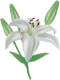 http://img-fotki.yandex.ru/get/9329/47407354.cf7/0_13d17d_b85a89b3_orig.png