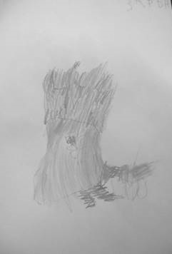 Описание: DSCN1639