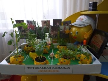 D:\Документы\публекации\вестник просвешения (www.vestnikprosveshheniya.ru)\20190426_130304.jpg