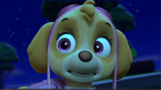 C:\Users\OLGA\Desktop\Щенячий патруль\скай1.png