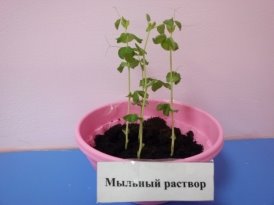 C:\Users\VADIK\Desktop\IMG_20161020_123055.jpg