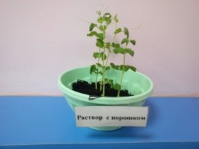 C:\Users\VADIK\Desktop\IMG_20161020_123109.jpg
