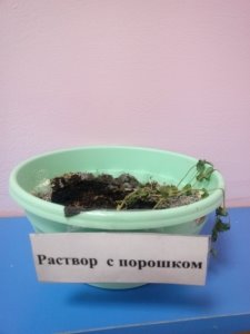 C:\Users\VADIK\AppData\Local\Microsoft\Windows\INetCache\Content.Word\IMG_20161031_123744.jpg