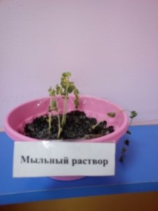 C:\Users\VADIK\AppData\Local\Microsoft\Windows\INetCache\Content.Word\IMG_20161101_141106.jpg