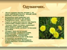https://healthilytolive.ru/wp-content/uploads/2016/10/polza_oduvanchika-3.jpg