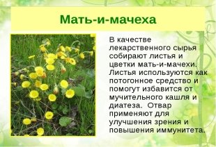 https://avatars.mds.yandex.net/get-pdb/936467/1d4534bf-9210-4e00-a270-dc5c78adb414/s1200?webp=false