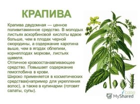 slide_7