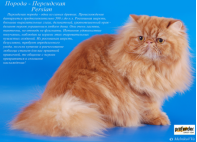 C:\Users\ЕЛЕНА\Pictures\Screenshots\Снимок экрана (225).png