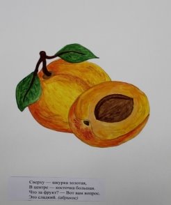 C:\Users\1\Desktop\ПДД\абрикос.jpg