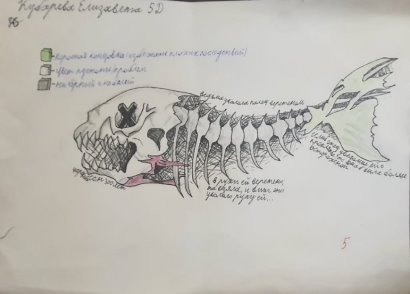 Кубрина Елизовета, МАОУ СОШ № 67, 5Д