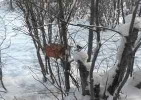 20160112_121156