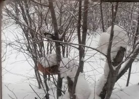 20160128_093444
