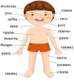 C:\Users\ЮССТ\Desktop\hello_html_237a1671.jpg